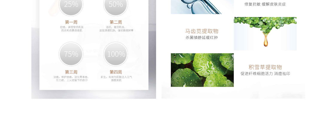 凍干粉_04.jpg